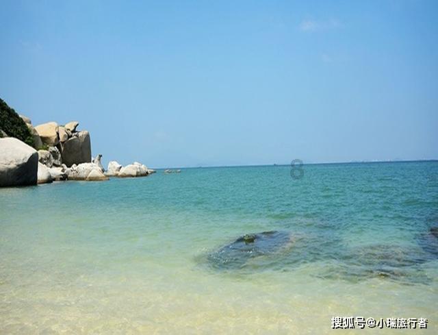 小僵尸射飞鸟